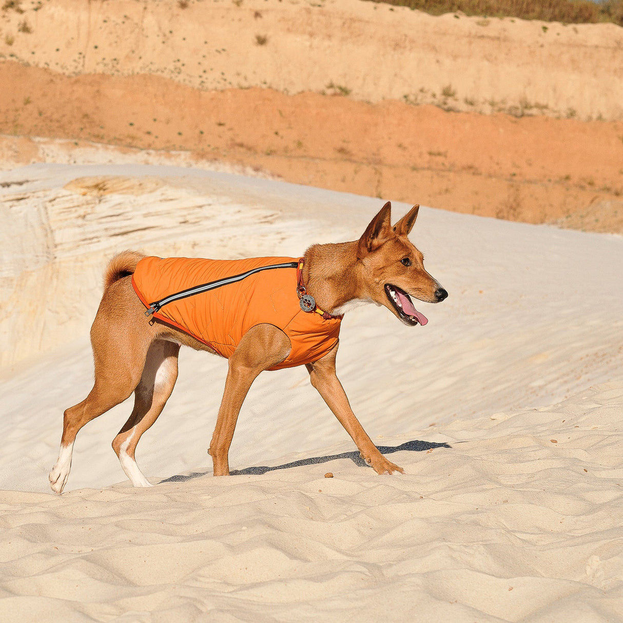 Sustainable Eco-Friendly Dog Jacket / Vest - Made in Ukraine from Bonne et Filou