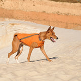 Sustainable Eco-Friendly Dog Jacket / Vest - Made in Ukraine from Bonne et Filou