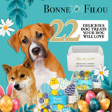 Spring Themed Dog Treats Gift Box from Bonne et Filou