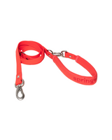 Dog Leash from Springer