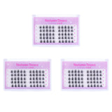 Fairy Lashes (50PCs) from Ninetynine Dreams