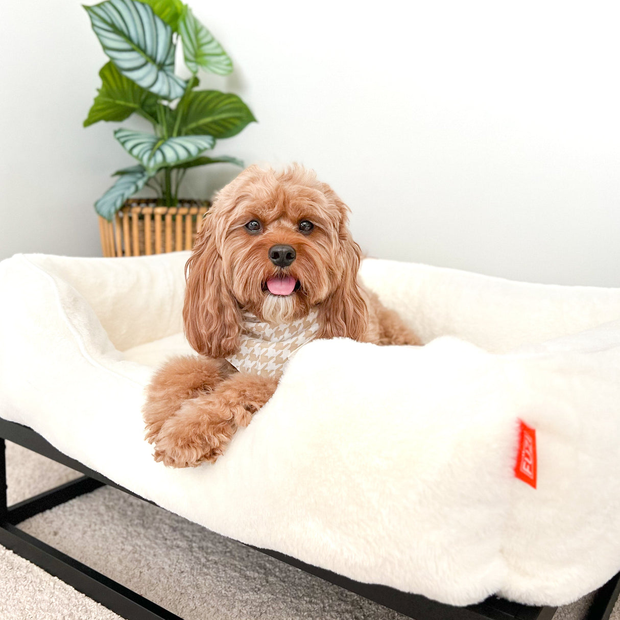 The FÜZI Dog Bed - Faux Fur from FÜZI