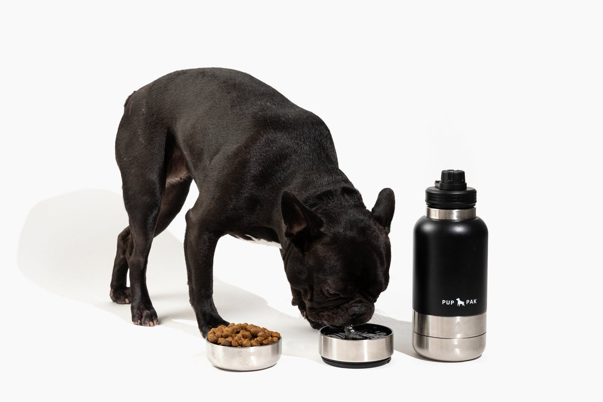 Pup Pak Dog Water Bottle with Detachable Bowls From Pup Pak