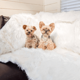 PupProtector™ Waterproof Throw Blanket - Polar White from Paw.com