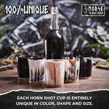 Horn Shot Cups (5-Pack) from Norse Tradesman