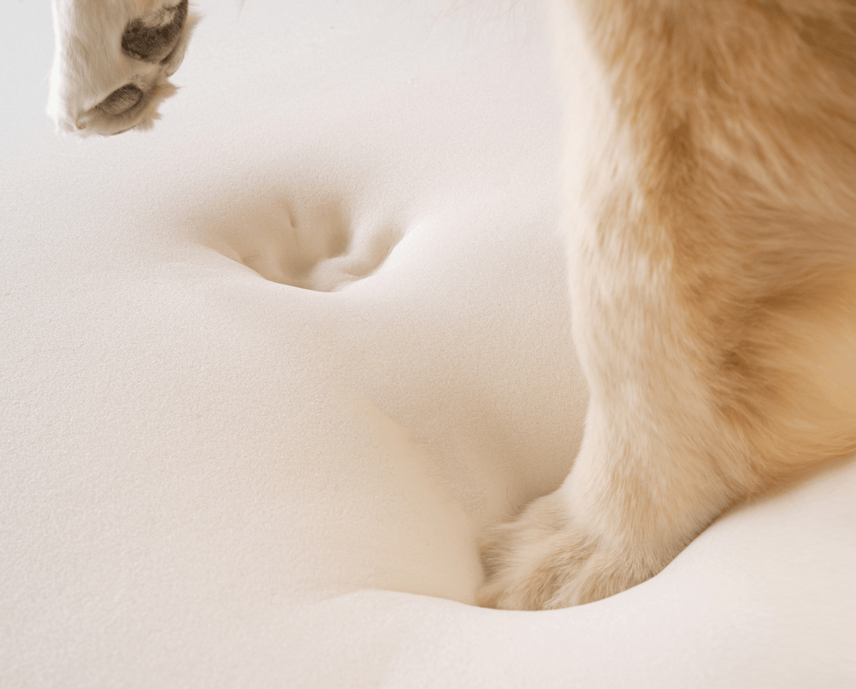 PupRug by Paw.com™ Faux Fur Orthopedic Dog Bed - Curve White with Brown Accents from Paw.com