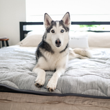 PupChill™ Cooling Waterproof Blanket - Arctic Grey from Paw.com