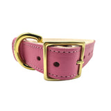 Plain Leather Dog Collar from Bonne et Filou