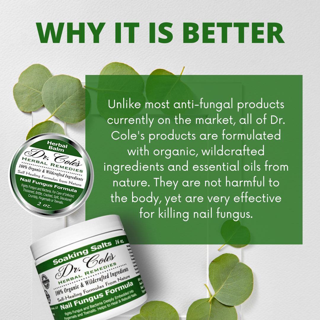 Nail Fungus Protocol Bundle from COLEHERBALS