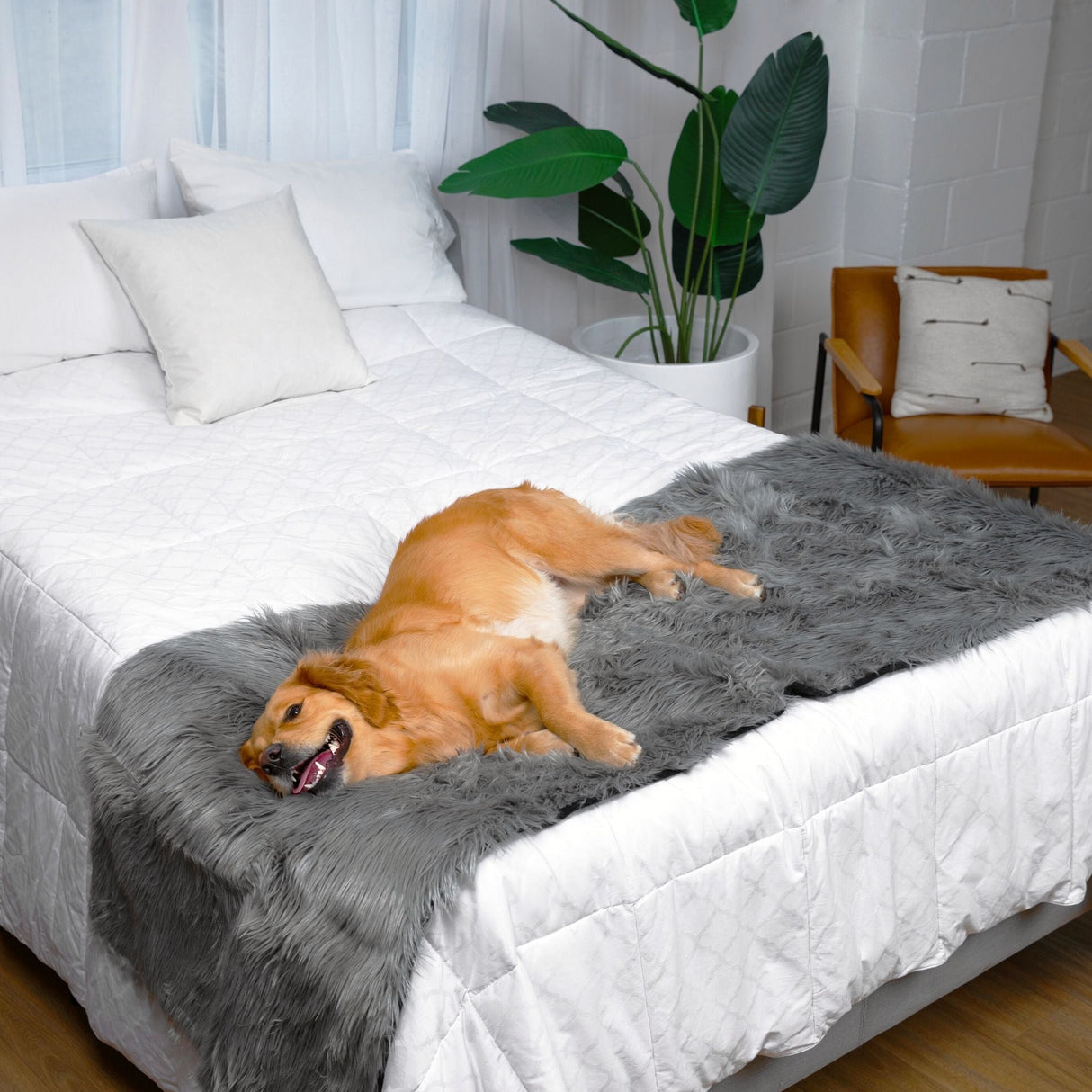 PupProtector™ Waterproof Bed Runner - Charcoal Grey from Paw.com