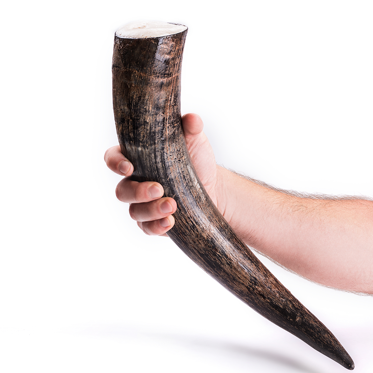 Curved Drinking Horn with Wooden Stand from Norse Tradesman