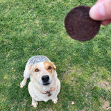 Beef Chips Dog Treats | Single-Ingredient Healthy Treats for Dogs from Farm To Pet