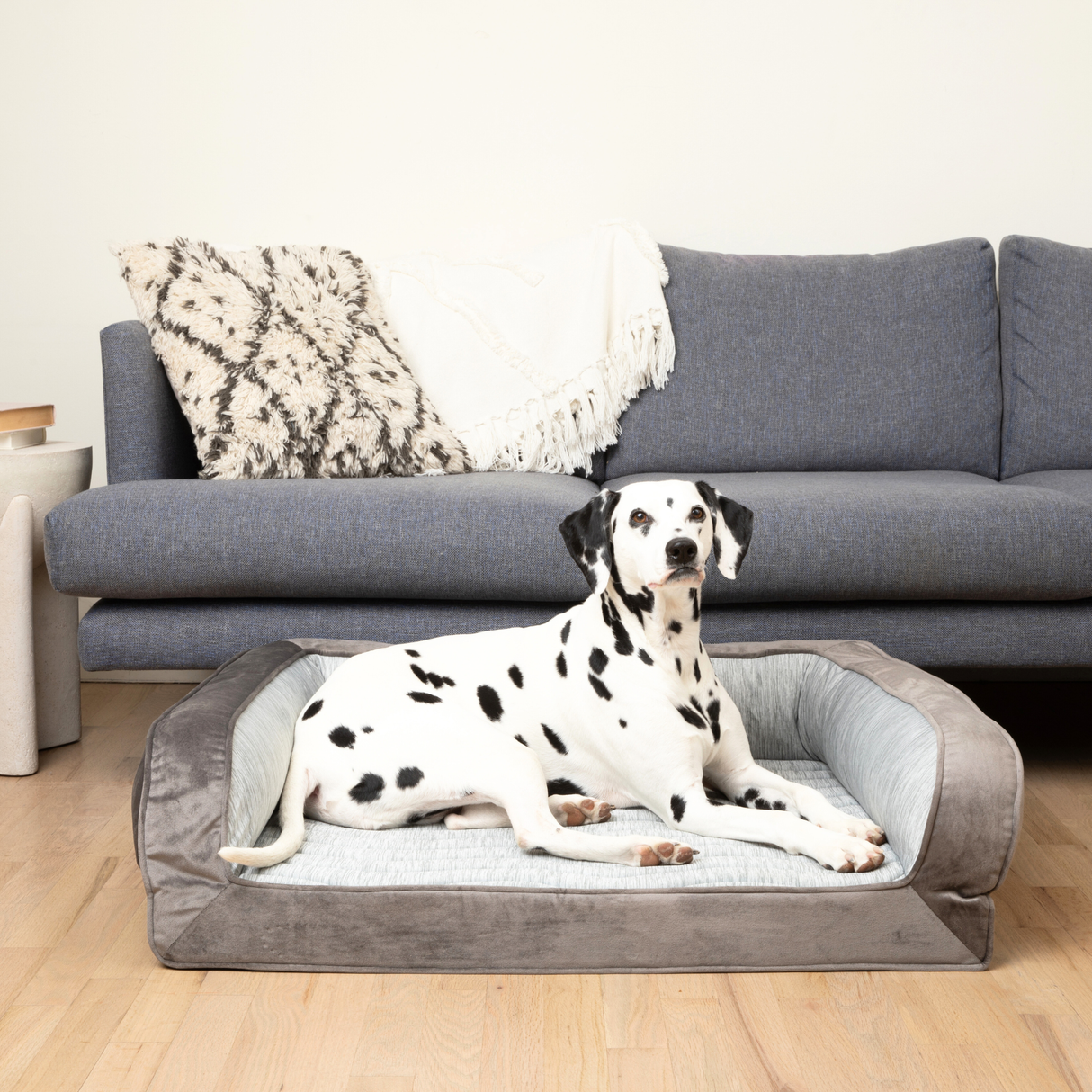 PupChill™ Cooling Bolster Dog Bed from Paw.com