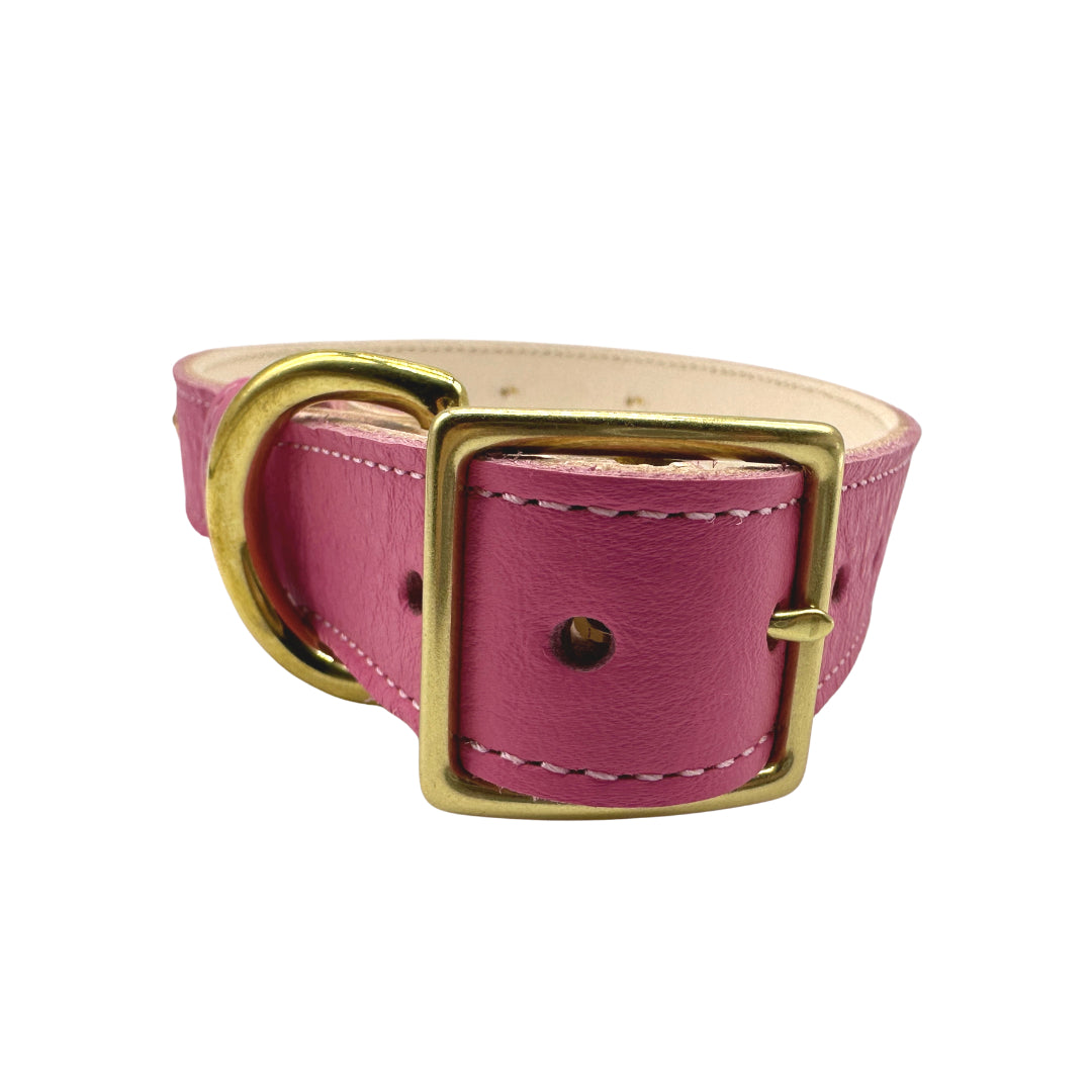 Plain Leather Dog Collar from Bonne et Filou