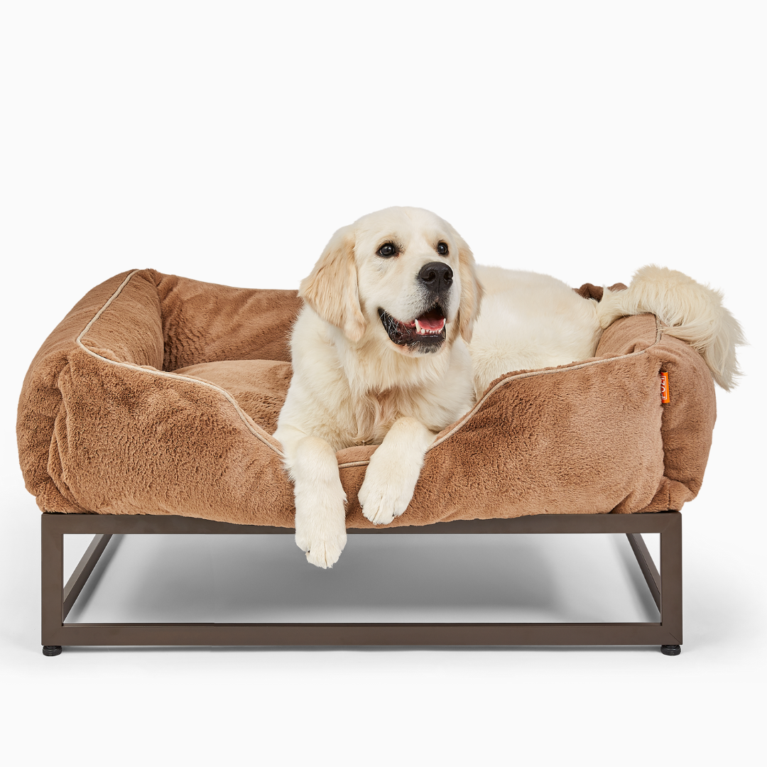 The FÜZI Dog Bed from FÜZI