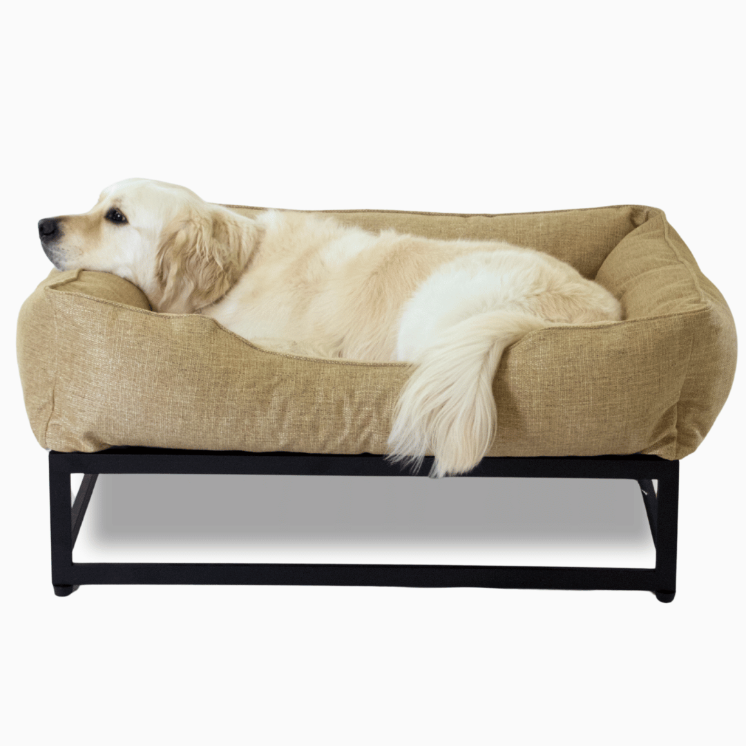The FÜZI Dog Bed from FÜZI