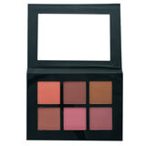 Blush Palette | Blush Colour Palette From Prolux Cosmetics