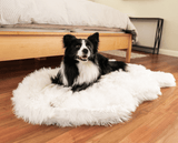 PupRug by Paw.com™ Faux Fur Orthopedic Dog Bed - Curve Polar White from Paw.com