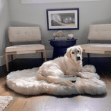 PupRug by Paw.com™ Faux Fur Orthopedic Dog Bed - Curve White with Brown Accents from Paw.com