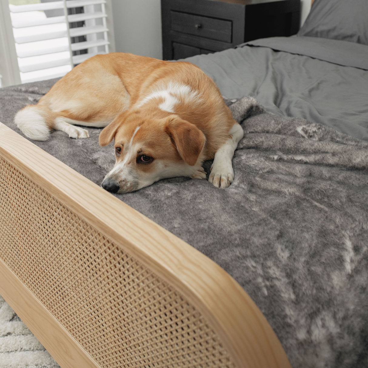 PupProtector™ Luxe Waterproof Bed Runner - Ultra Soft Chinchilla from Paw.com