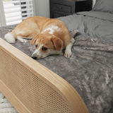 PupProtector™ Luxe Waterproof Bed Runner - Ultra Soft Chinchilla from Paw.com