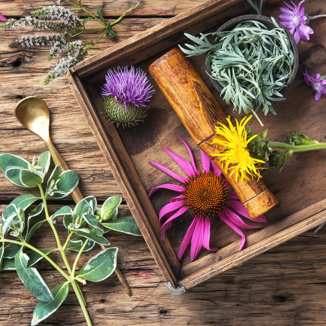 Garden Witch from Wicked Good Perfume