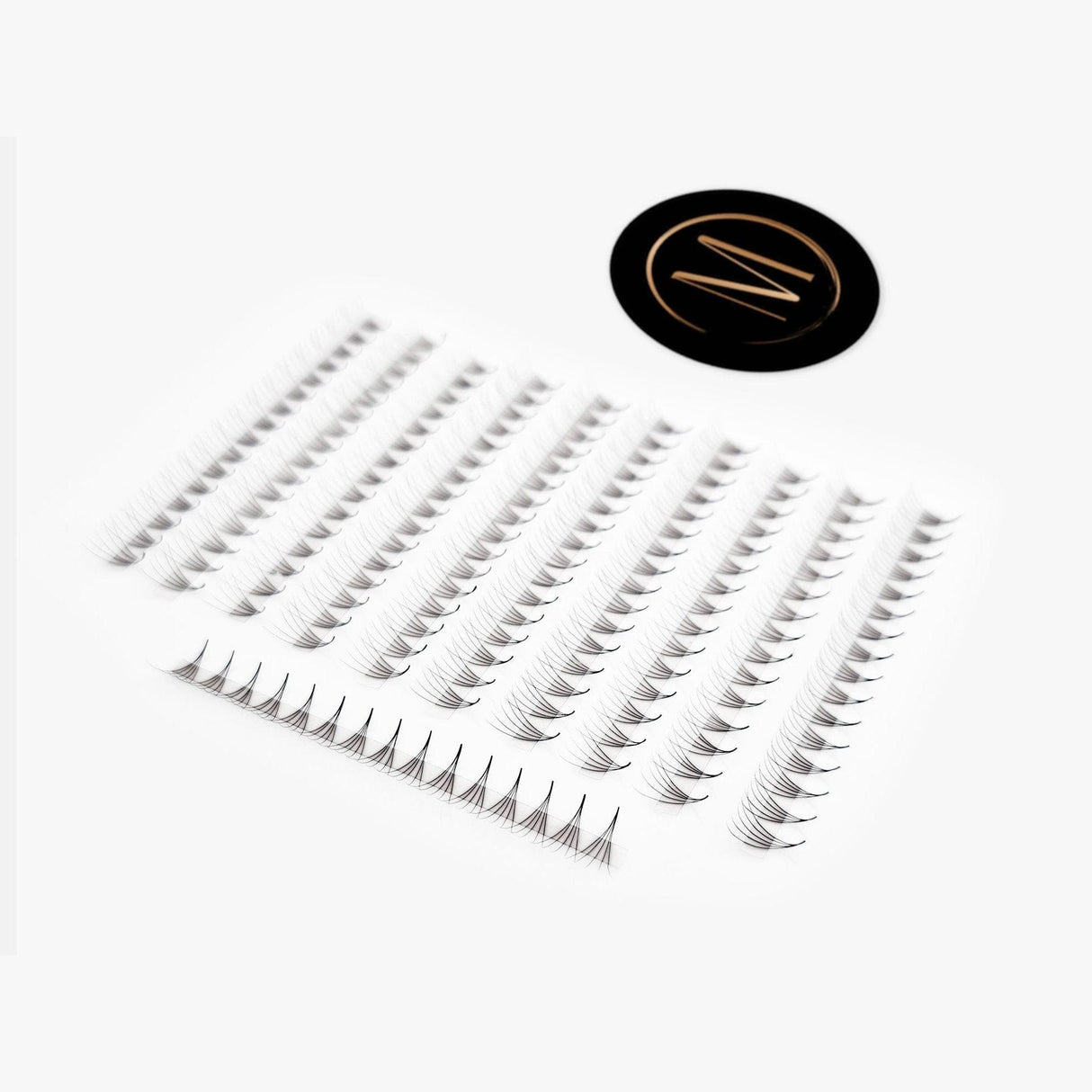 Mix Rapid 5D Promade Fans® - 1000 Fans from Mega Lash Academy