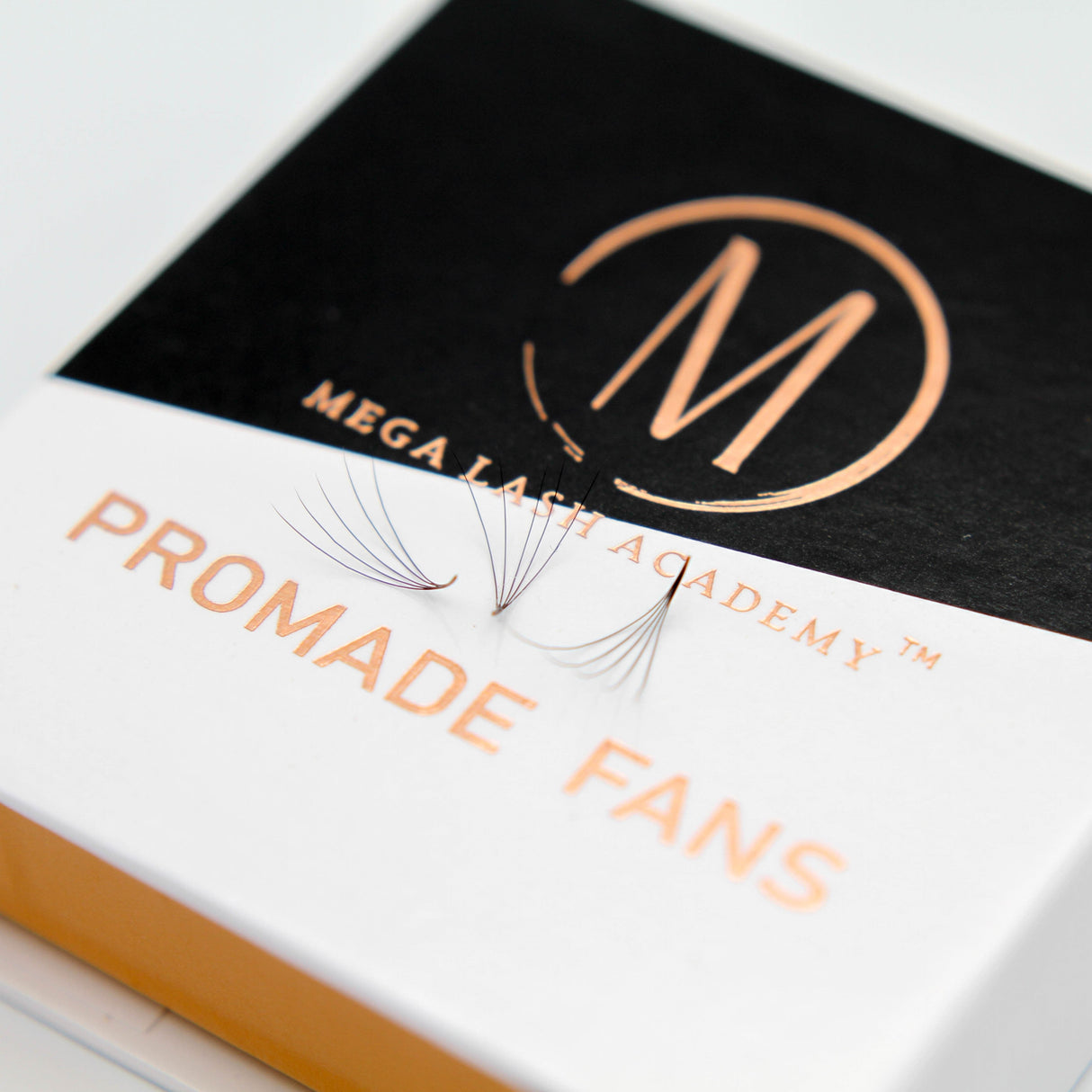Promade 5D Loose Fans - 500 Fans from Mega Lash Academy