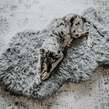 PupRug by Paw.com™ Faux Fur Orthopedic Dog Bed - Curve Charcoal Grey from Paw.com