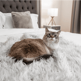 CatNap™ Anti-Scratch & Waterproof Throw Blanket - Grey from Paw.com