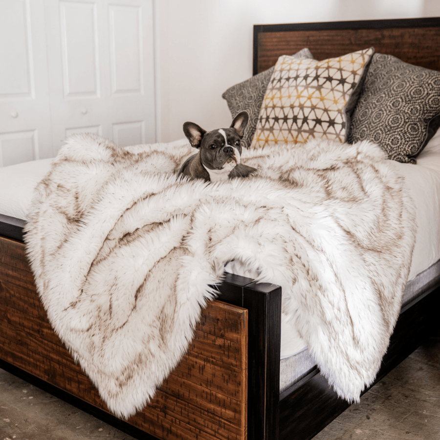 PupProtector™ Waterproof Throw Blanket - White with Brown Accents from Paw.com