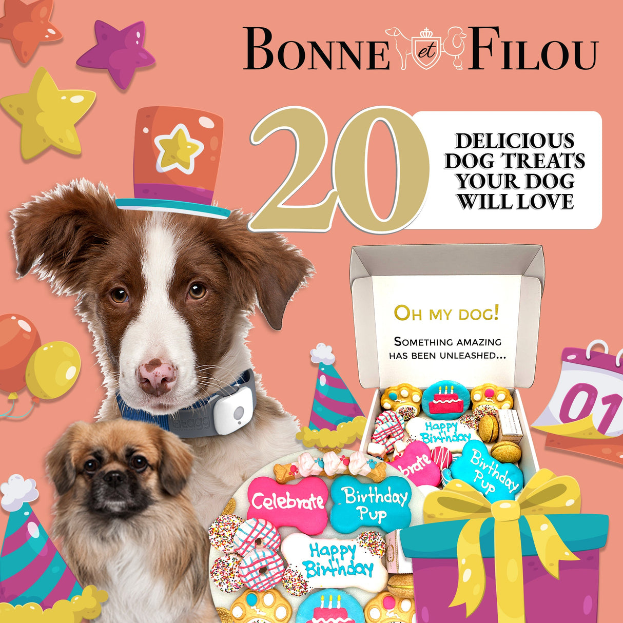 Happy Birthday Dog Treats Gift Box from Bonne et Filou