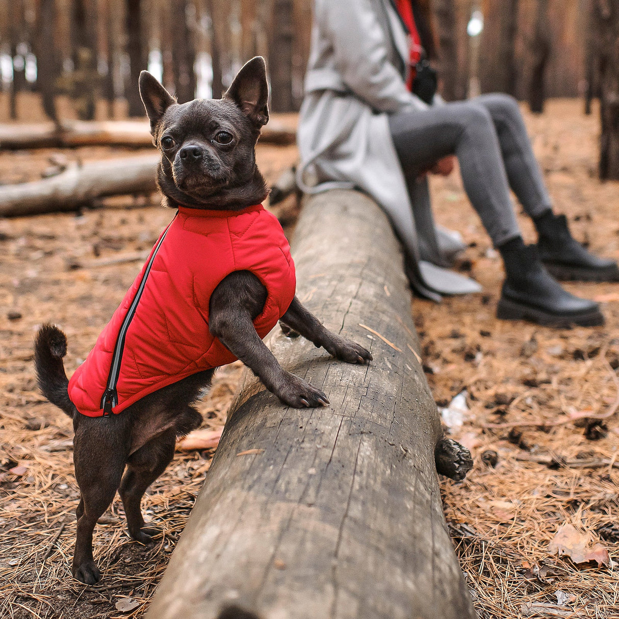 Sustainable Eco-Friendly Dog Jacket / Vest - Made in Ukraine from Bonne et Filou