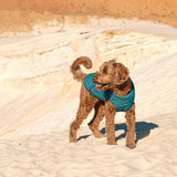 Sustainable Eco-Friendly Dog Jacket / Vest - Made in Ukraine from Bonne et Filou