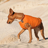 Sustainable Eco-Friendly Dog Jacket / Vest - Made in Ukraine from Bonne et Filou