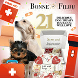 Get Well Soon Themed Dog Treats Gift Box from Bonne et Filou