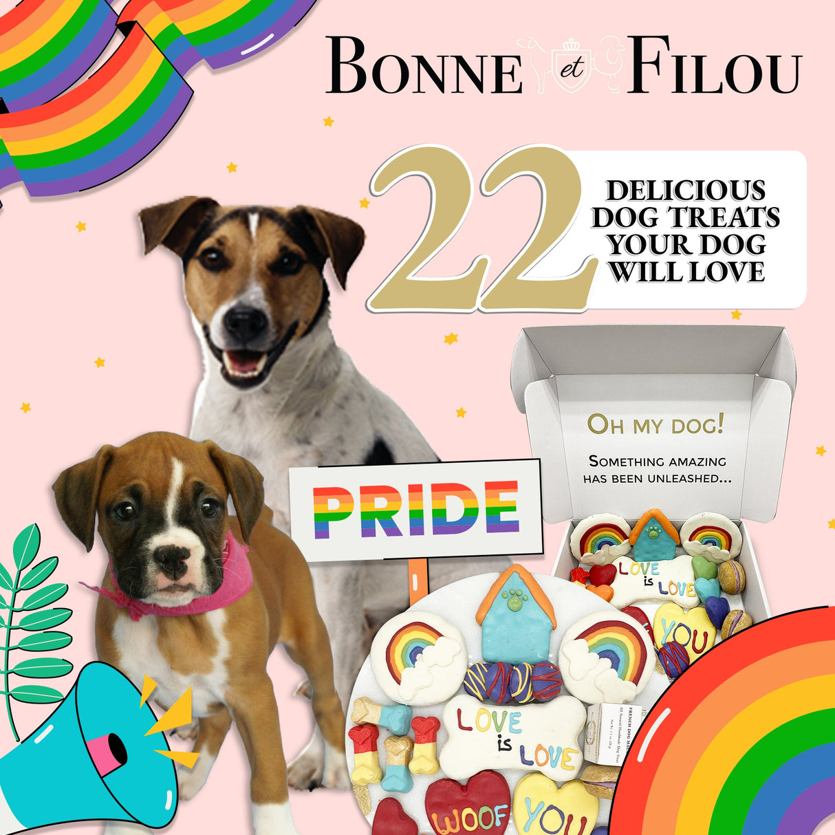 Pride Themed Dog Treats Gift Box from Bonne et Filou