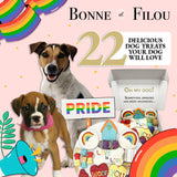 Pride Themed Dog Treats Gift Box from Bonne et Filou