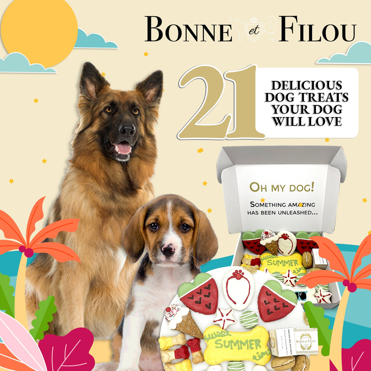 Summer Themed Dog Treats Gift Box from Bonne et Filou