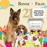 Summer Themed Dog Treats Gift Box from Bonne et Filou