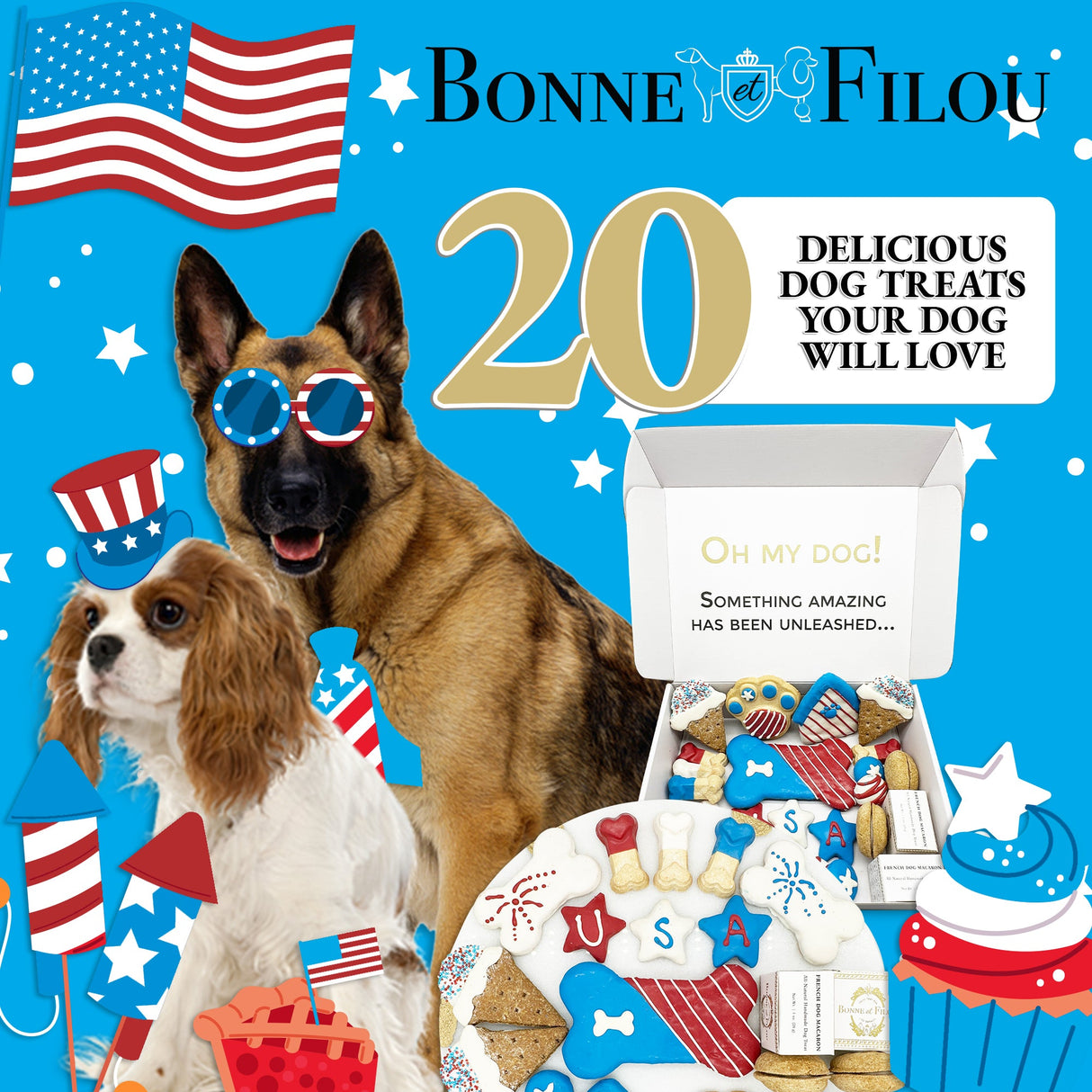 USA Themed Dog Treats Gift Box from Bonne et Filou