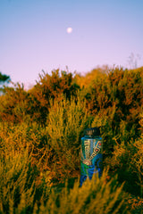 Nalgene OG Inland Ocean Coalition | 32 & 48oz from Epic Water Filters USA
