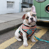 Frenchie Duo Reversible Harness - Wild West from Frenchie Bulldog
