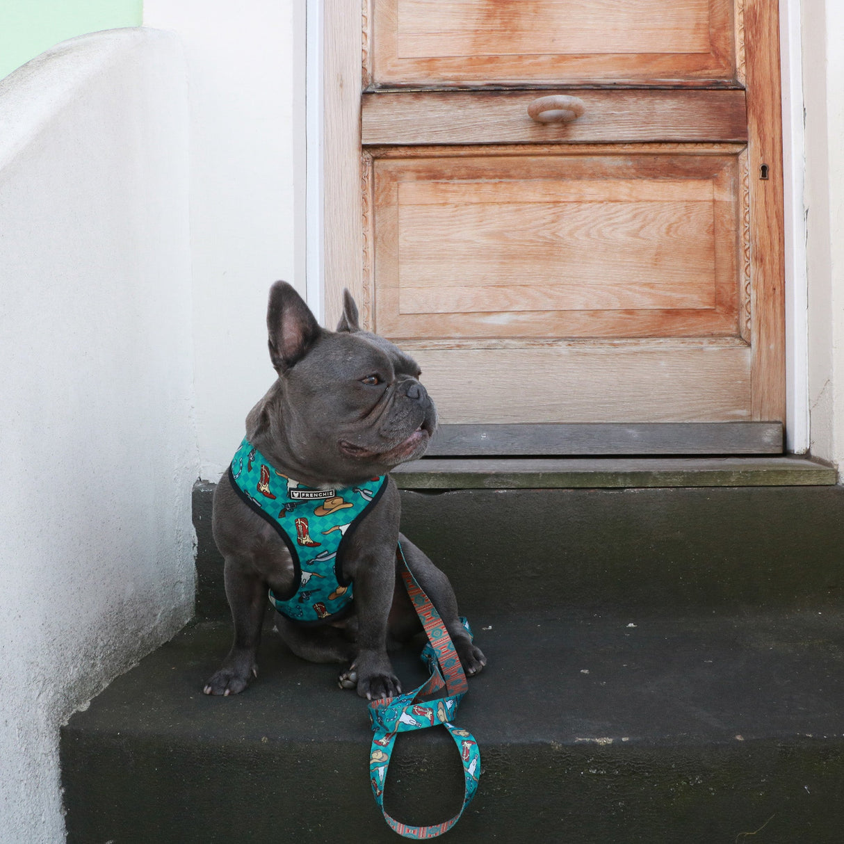 Frenchie Duo Reversible Harness - Wild West from Frenchie Bulldog