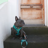 Frenchie Duo Reversible Harness - Wild West from Frenchie Bulldog