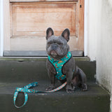 Frenchie Duo Reversible Harness - Wild West from Frenchie Bulldog
