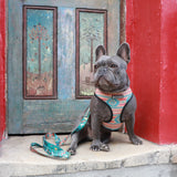 Frenchie Duo Reversible Harness - Wild West from Frenchie Bulldog
