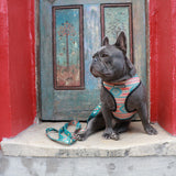 Frenchie Duo Reversible Harness - Wild West from Frenchie Bulldog