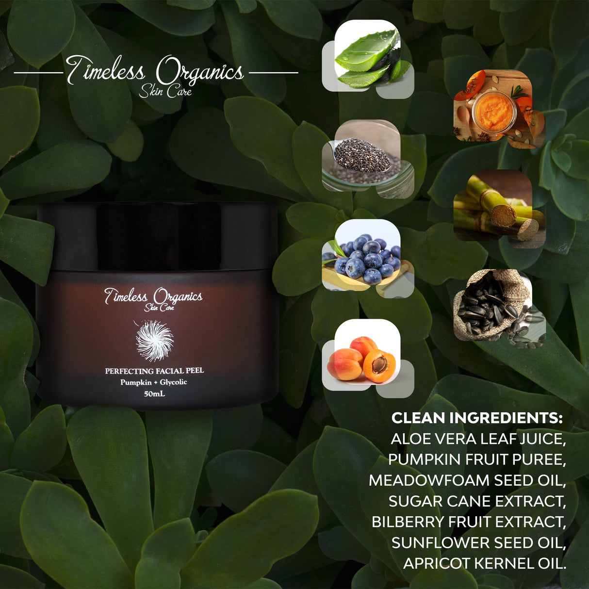 Pumpkin + Glycolic Facial Peel from Timeless Organics Skin Care