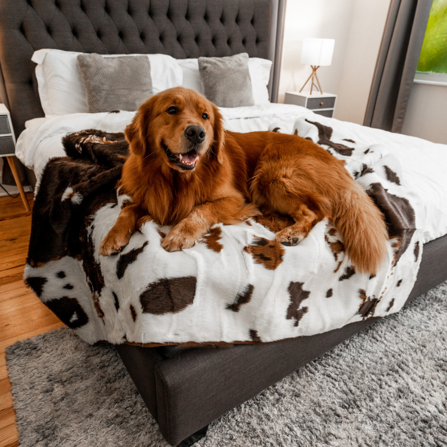 PupProtector™ Waterproof Throw Blanket - Brown Faux Cowhide from Paw.com